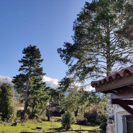 Casa Rural El Pinar Villa Navas de Riofrio Luaran gambar