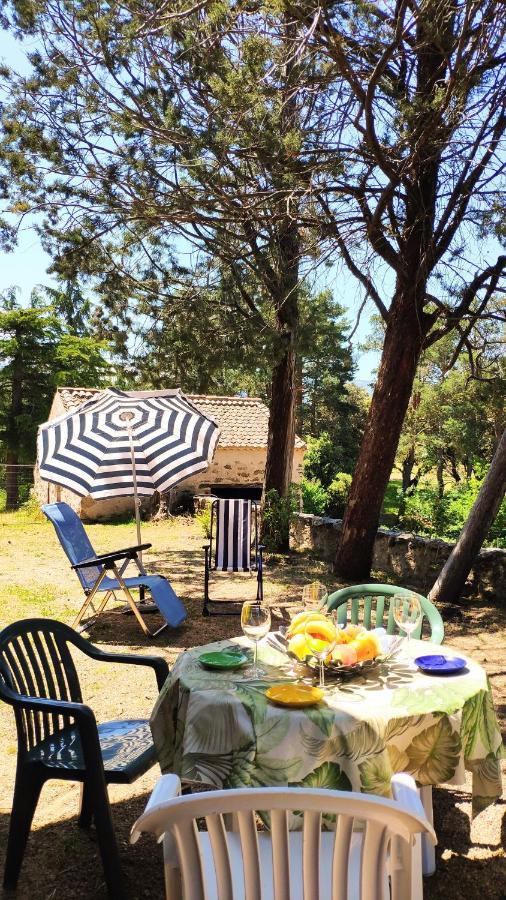 Casa Rural El Pinar Villa Navas de Riofrio Luaran gambar